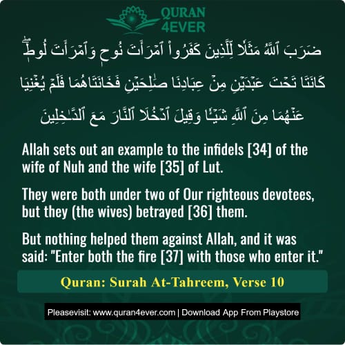 Quran Surah 66 Verse 10