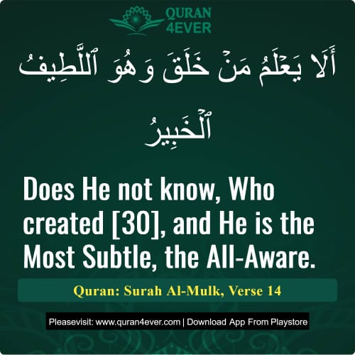 Quran Surah 67 Verse 14
