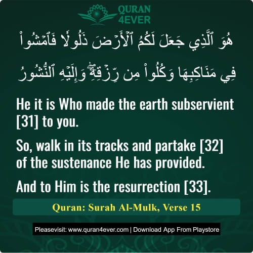 Quran Surah 67 Verse 15