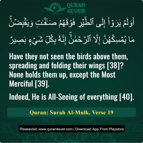 Quran Surah 67 Verse 19