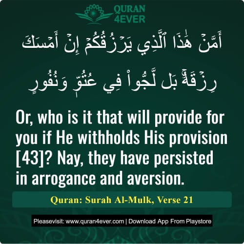 Quran Surah 67 Verse 21