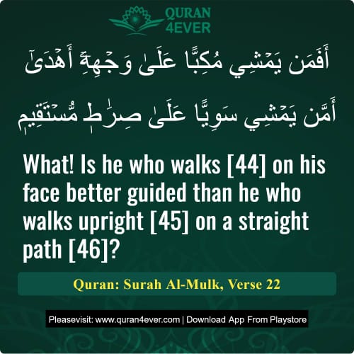 Quran Surah 67 Verse 22