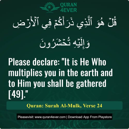 Quran Surah 67 Verse 24