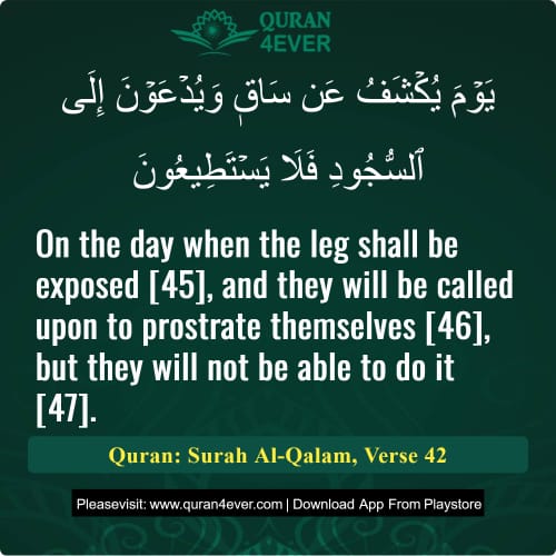Quran Surah 68 Verse 42