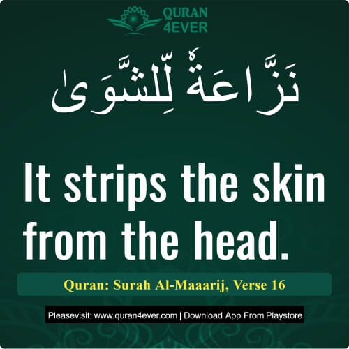 Quran Surah 70 Verse 16