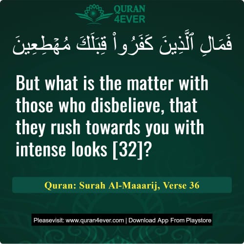 Quran Surah 70 Verse 36