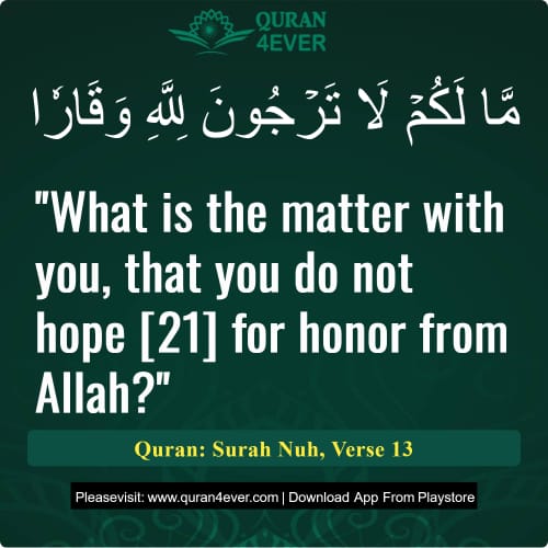 Quran Surah 71 Verse 13