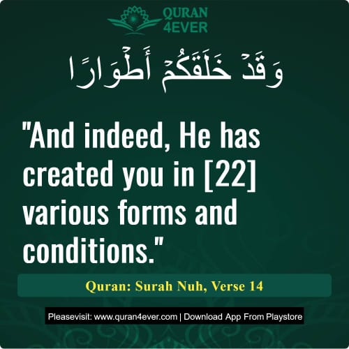 Quran Surah 71 Verse 14