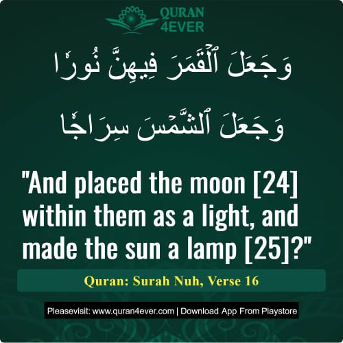 Quran Surah 71 Verse 16