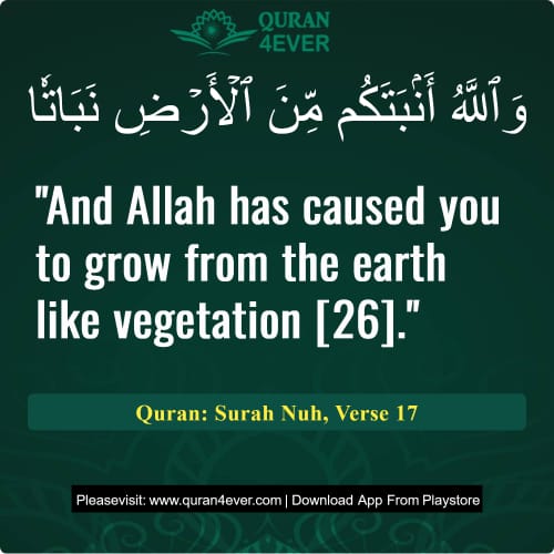 Quran Surah 71 Verse 17