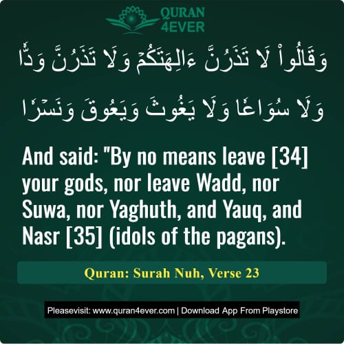 Quran Surah 71 Verse 23