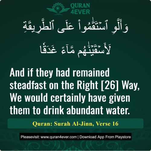 Quran Surah 72 Verse 16