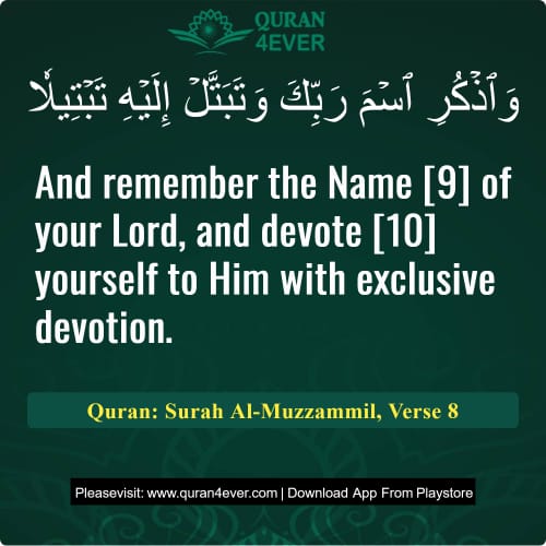 Quran Surah 73 Verse 8