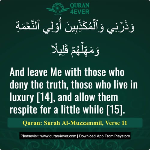 Quran Surah 73 Verse 11
