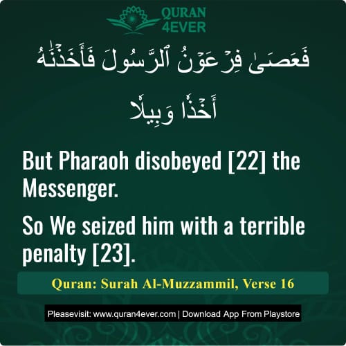 Quran Surah 73 Verse 16