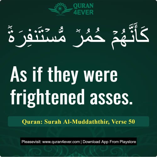 Quran Surah 74 Verse 50