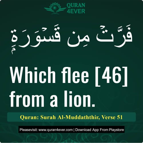 Quran Surah 74 Verse 51