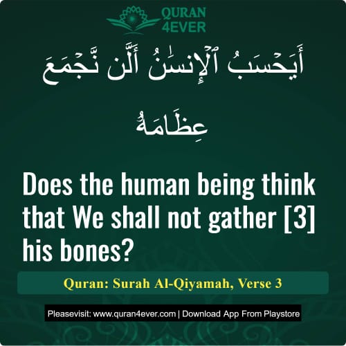 Quran Surah 75 Verse 3