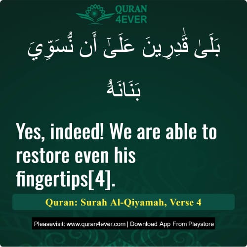 Quran Surah 75 Verse 4
