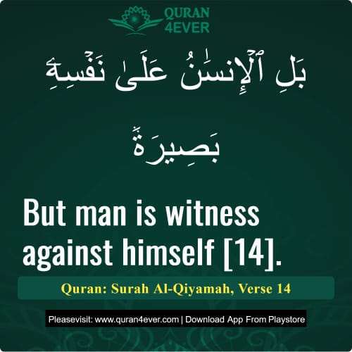 Quran Surah 75 Verse 14
