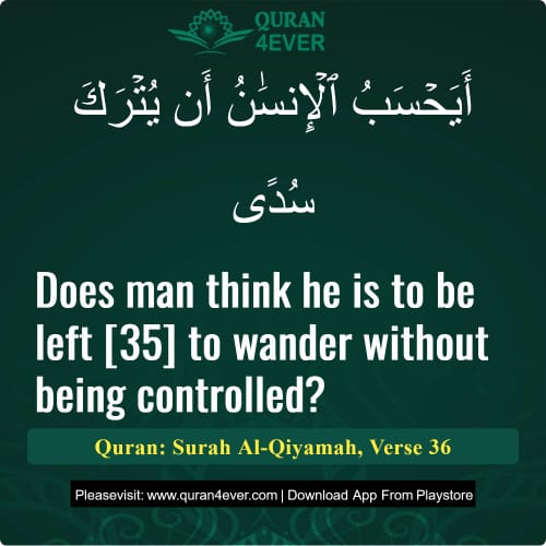 Quran Surah 75 Verse 36