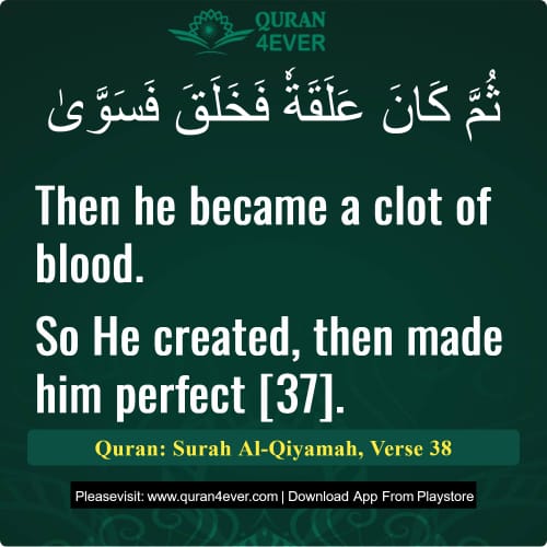Quran Surah 75 Verse 38