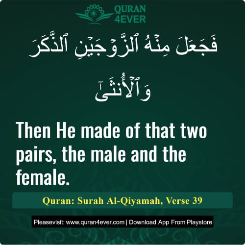 Quran Surah 75 Verse 39