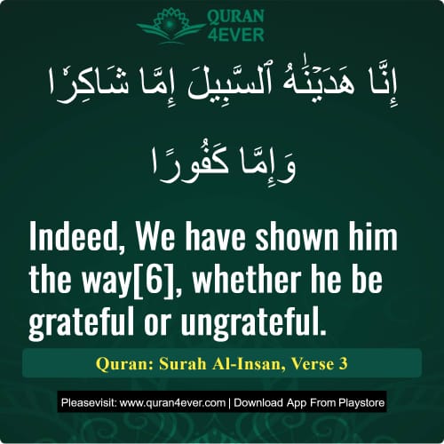Quran Surah 76 Verse 3