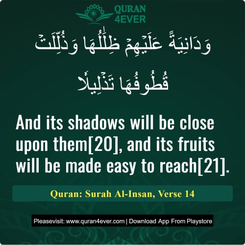 Quran Surah 76 Verse 14