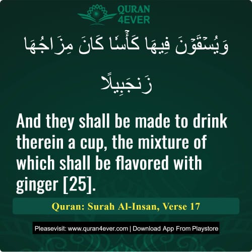 Quran Surah 76 Verse 17