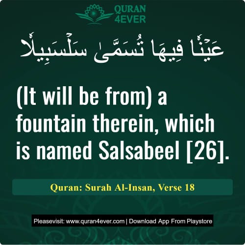 Quran Surah 76 Verse 18