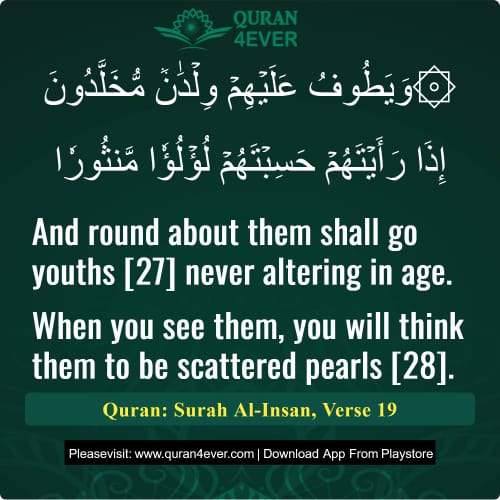 Quran Surah 76 Verse 19