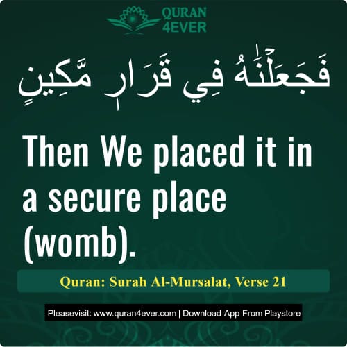 Quran Surah 77 Verse 21