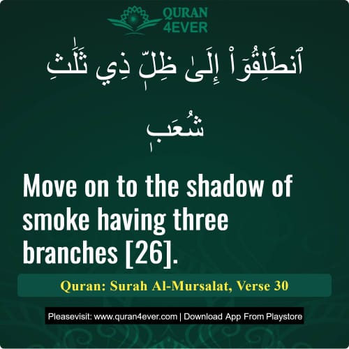 Quran Surah 77 Verse 30