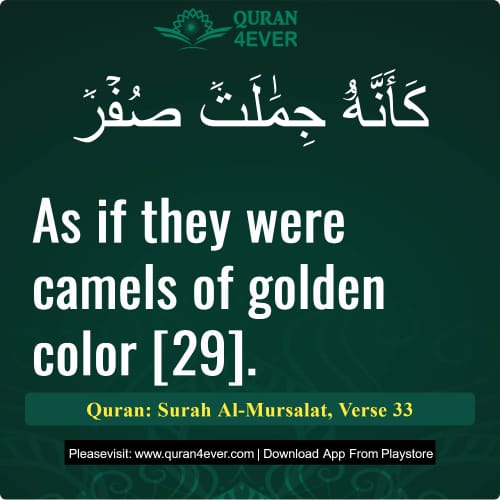 Quran Surah 77 Verse 33