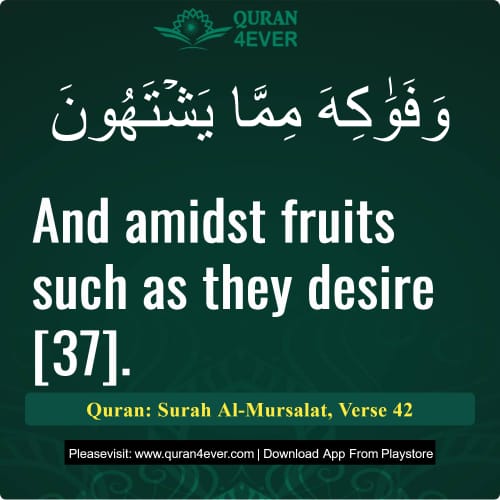 Quran Surah 77 Verse 42