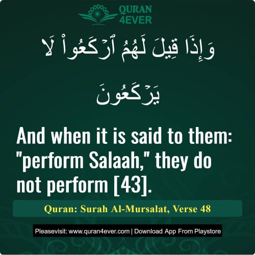 Quran Surah 77 Verse 48
