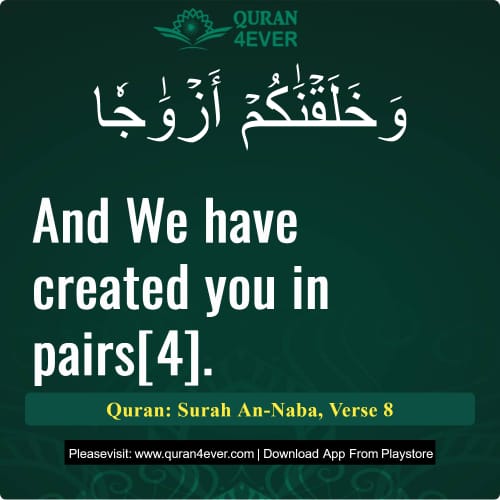 Quran Surah 78 Verse 8