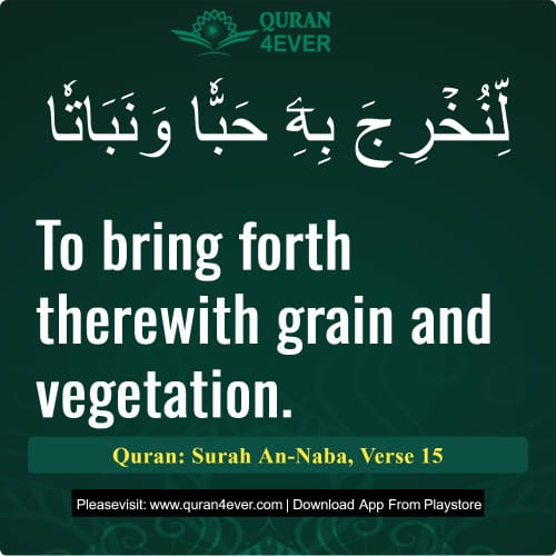 Quran Surah 78 Verse 15