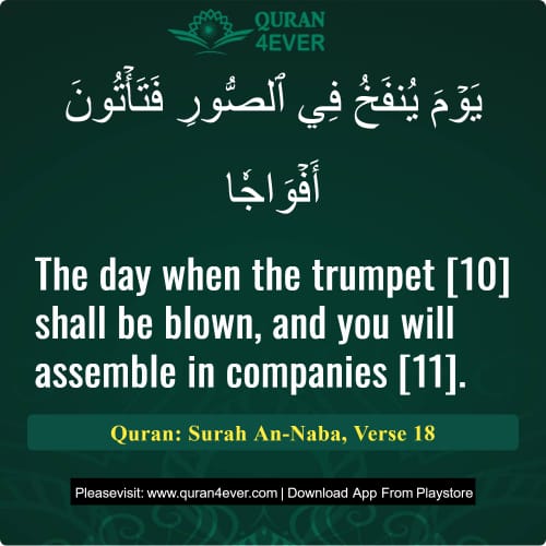 Quran Surah 78 Verse 18
