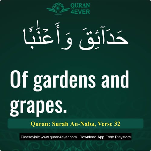 Quran Surah 78 Verse 32