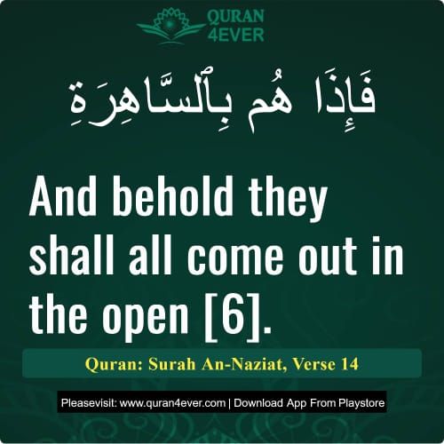 Quran Surah 79 Verse 14