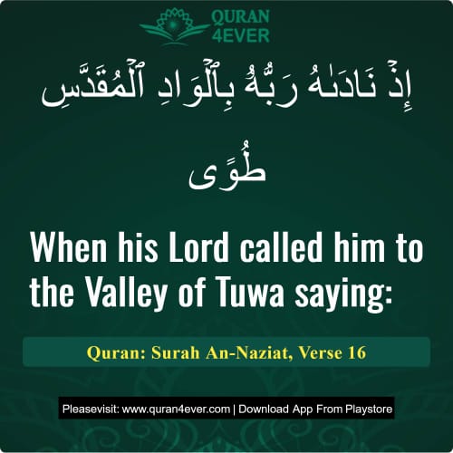 Quran Surah 79 Verse 16