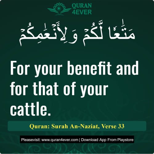 Quran Surah 79 Verse 33