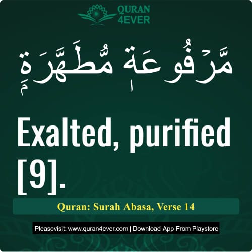 Quran Surah 80 Verse 14
