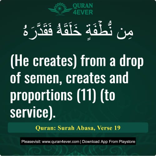 Quran Surah 80 Verse 19