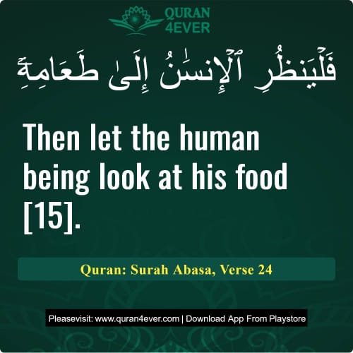 Quran Surah 80 Verse 24