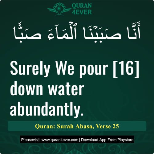 Quran Surah 80 Verse 25