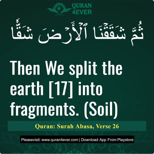 Quran Surah 80 Verse 26