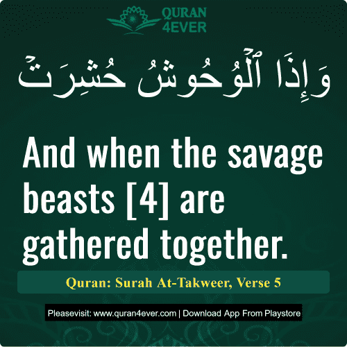 Quran Surah 81 Verse 5